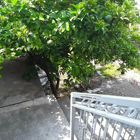 Vlatka Apartman * Salona