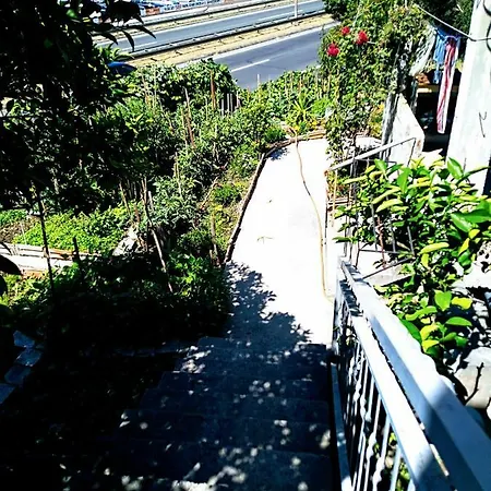 Vlatka Apartman * Salona
